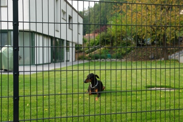 Tiergehege und Volieren